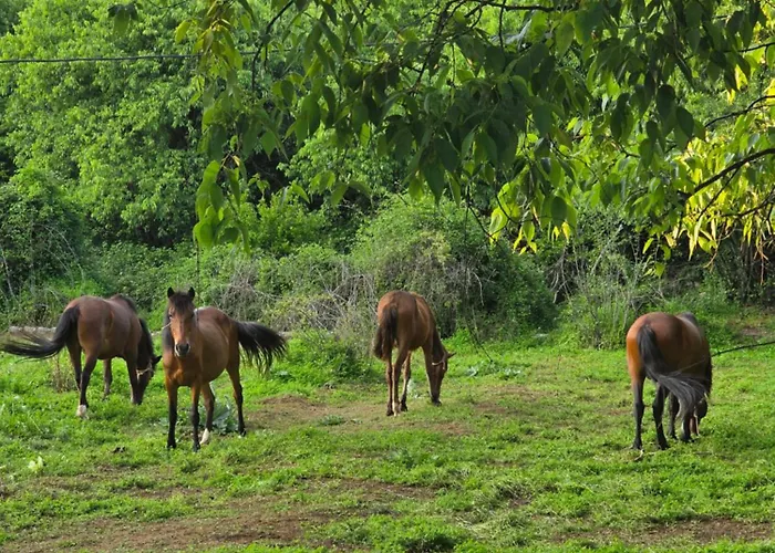 アパート Wildstone Krusi - Pool & 1 ポドゴリツァ