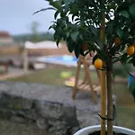 Wildstone Krusi - Pool & 1 Appartamento *