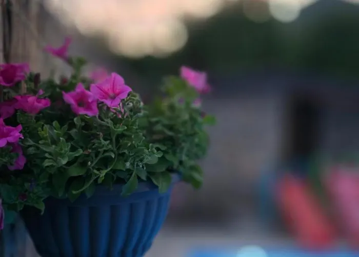 Wildstone Krusi - Pool & 1 公寓