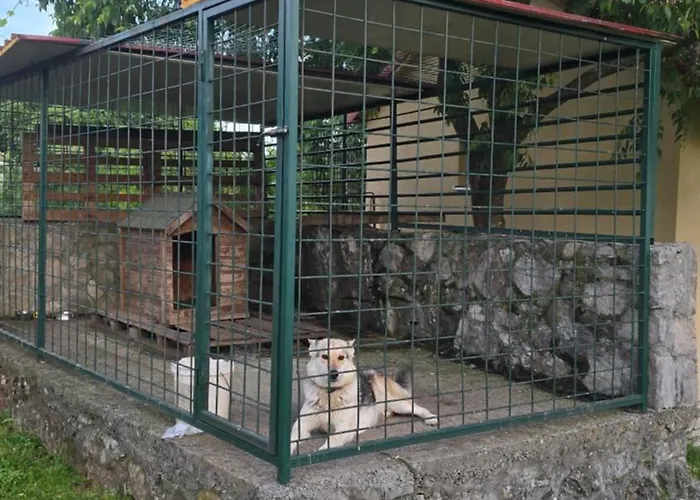 Apartment Wildstone Krusi - Pool & 1