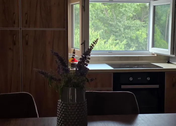 公寓 Wildstone Krusi - Pool & 1 波德戈里察